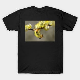 Bees & Cottonwood blooms T-Shirt